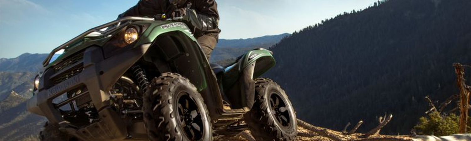 2018 Kawasaki Brute Force® 750 4X4I for sale in Mosites Motorsports, North Versailles, Pennsylvania